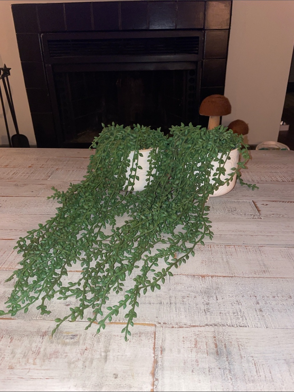 2 Green Cascading Faux Succulent in White Planter - Home Accents